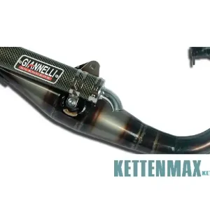 passend für Aprilia SR 50 Motard 12-15 Giannelli Reverse Sportauspuff mit ABE 31620E Neue Kollektion