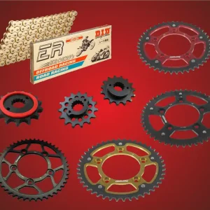 Aktion Renn Kettensatz passend für Ducati 800 Scrambler (Bj.15-) 520 Racing Kette Markenware