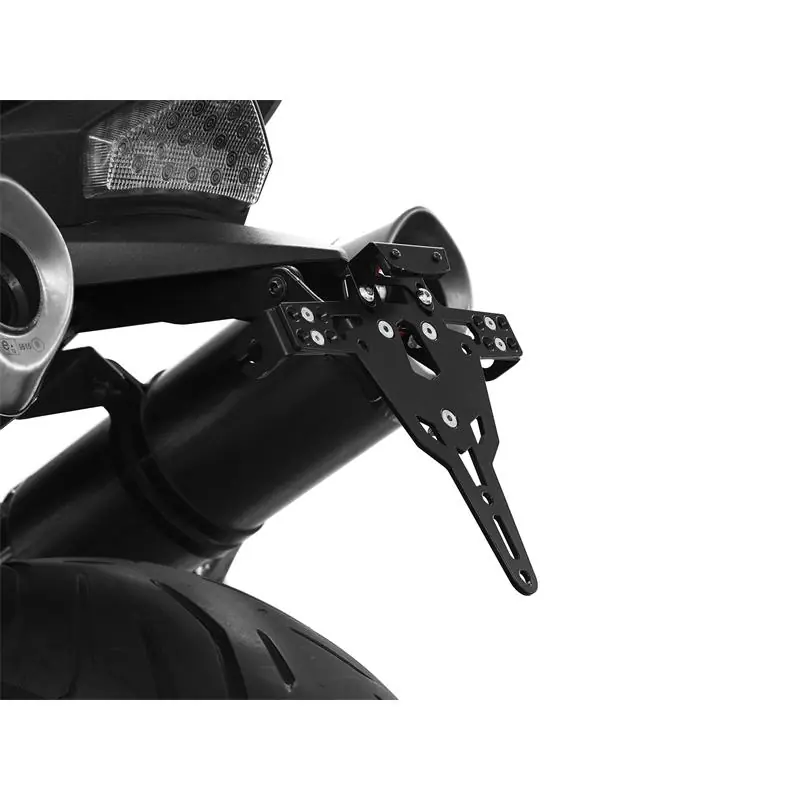 ZIEGER Pro Kennzeichenhalter passend für Triumph Speed Triple 1050 / R; Baujahre: 2005-2010 Top-Preis