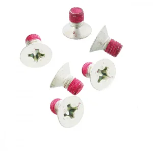 TRW Lucas Bremsscheibenschrauben-Satz MSS117-6 (M6 x 1,0 x 11 x 17,10 mm) vorne passend für Kawasaki Direkt Vom Hersteller