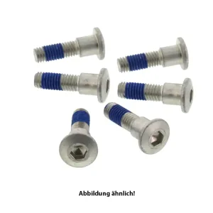 TRW Lucas Bremsscheibenschrauben-Satz MSS136-6 (M8 x 1,25 x 20 x 25,3 mm) passend für Ducati 6 Stk. Neue Kollektion