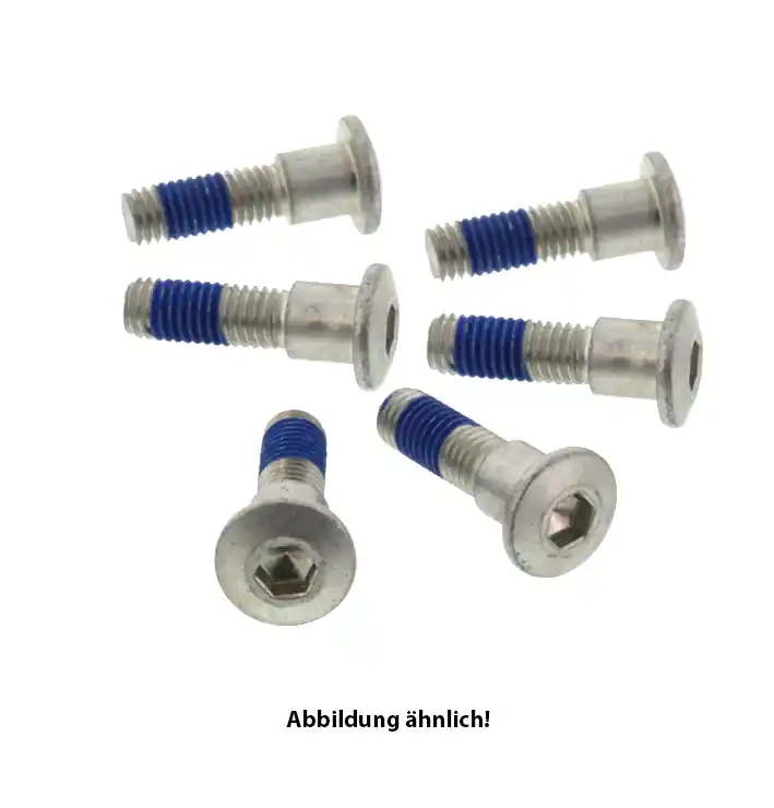 Finale Aktion TRW Lucas Bremsscheibenschrauben-Satz MSS142-4 hinten passend für Honda CRF 250 L MD38 MD44