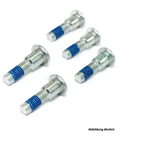 TRW Lucas Bremsscheibenschrauben-Satz MSS125-5 (M8 x 1,25 x 30 x 33 mm) vorne passend für Kawasaki 5 Neue Kollektion