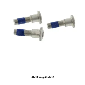 TRW Lucas Bremsscheibenschrauben-Satz MSS150-3 (M8 x 1,25 x 30 x 36 mm) vorne passend für Aprilia 3 Top-Preis