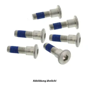 TRW Lucas Bremsscheibenschrauben-Satz MSS160-6 (M8 x 1,25 x 19 x 22 mm) vorne passend für Cagiva 6 S Zertifiziert