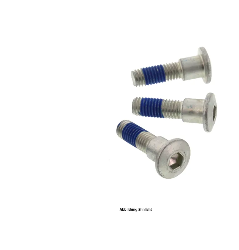 TRW Lucas Bremsscheibenschrauben-Satz MSS134-3 (M8 x 1,25 x 15,5 x 24,5 mm) passend für Honda 3 Stk. Must-Have