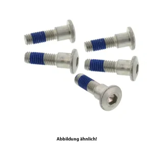 TRW Lucas Bremsscheibenschrauben-Satz MSS150-5 (M8 x 1,25 x 30 x 36 mm) vorne passend für Aprilia 5 Jetzt Bestellen