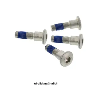 Neuheit TRW Lucas Bremsscheibenschrauben-Satz MSS160-4 (M8 x 1,25 x 19 x 22 mm) hinten passend für MV Agusta