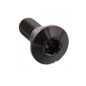 Bremsscheibenschraube M8x1.25 22mm Edelstahl / Titan Knallerangebot