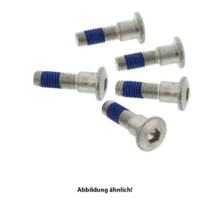 Sale TRW Lucas Bremsscheibenschrauben-Satz MSS160-5 (M8 x 1,25 x 19 x 22 mm) vorne passend für MV Agusta