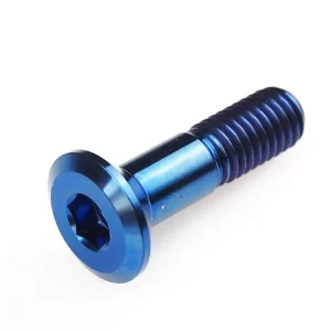 Schraube Kettenrad Pro Bolt M8 x 1.25mm 31mm Titan / gold / blau / violett Preisknaller