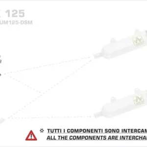 Sonderangebot Arrow Krümmer mit Kat passend für Malaguti XTM / XSM 125 4T