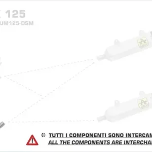 Top-Preis Arrow Racing Krümmer passend für Malaguti XTM / XSM 125 4T ab 2019