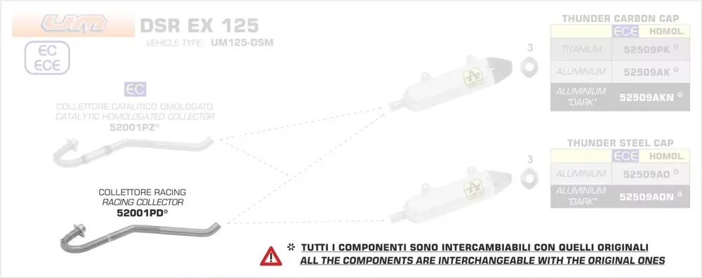 Top-Preis Arrow Racing Krümmer passend für Malaguti XTM / XSM 125 4T ab 2019
