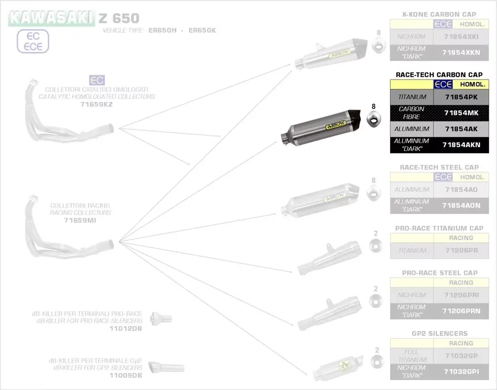 Arrow Race-Tech Carbon Endschalldämpfer passend für Kawasaki Z 650, Ninja 650, Versys 650 (2017–2022) Saisonangebot