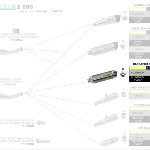 Günstig Arrow Race Tech Aluminium Endschalldämpfer passend für Kawasaki Z 650, Ninja 650, Versys 650 (17–22)
