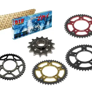 Bestseller DID Kettensatz passend für Ducati 1100 Scrambler ABS ab Bj 18 mit DID520ZVMX Kette