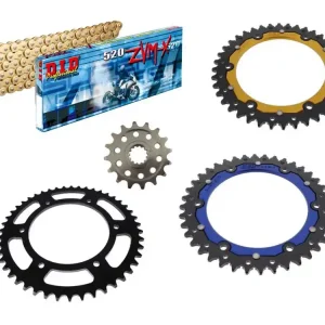 DID Kettensatz passend für BMW G 310 R (Bj.16-) DID 520ZVMX Premium Kette Highlight