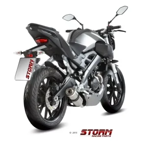 Nur Für Kurze Zeit Storm by MIVV GP Edelstahl-Komplettanlage passend für Yamaha YZF-R 125 & MT-125