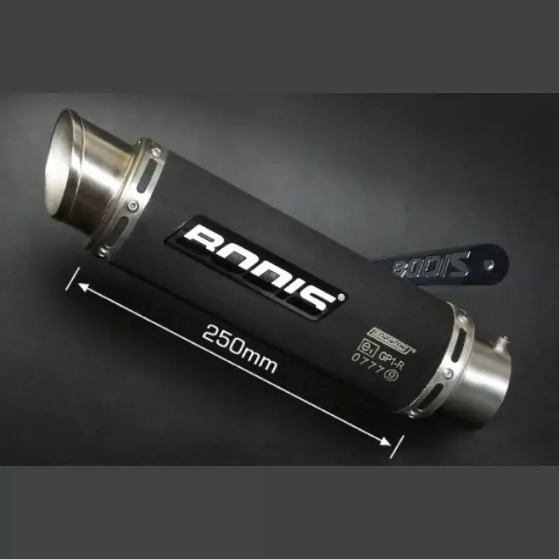 Bodis GP1-R Endschalldämpfer passend für BMW S 1000 R 2014-2016 Top-Seller