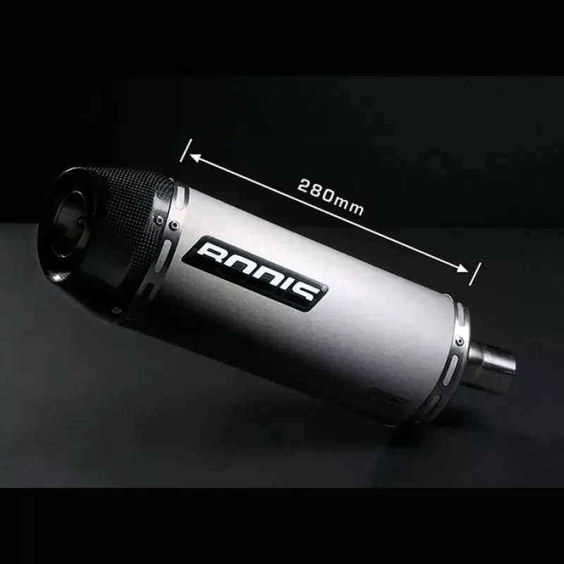 Preisreduziert Bodis Oval Tec Auspuff passend für Triumph Speed Triple 2005-2010