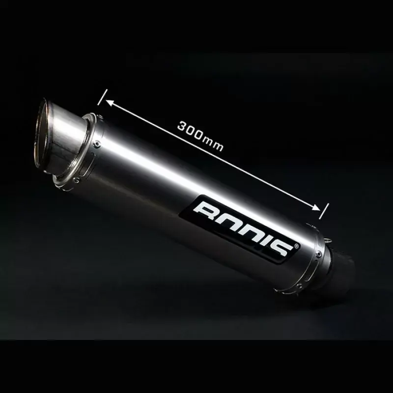 Billig Bodis GP1 Auspuff passend für Kawasaki ZX-6 R 636 2013-2016