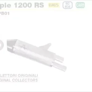 ARROW Carbon Hitzeschutz passend für Triumph Speed Triple 1200 RS 21-23 Bestpreis