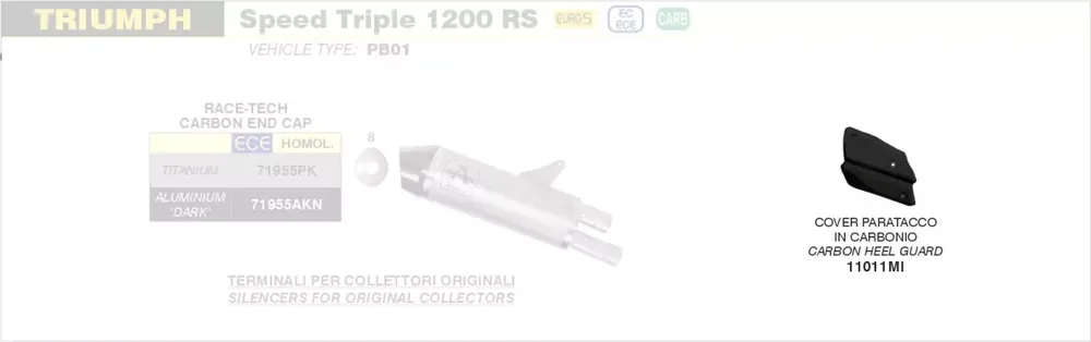 ARROW Carbon Hitzeschutz passend für Triumph Speed Triple 1200 RS 21-23 Bestpreis