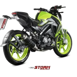 Sichere Zahlung Storm by MIVV GP Endschalldämpfer Edelstahl Schwarz passend für KEEWAY RKF 125