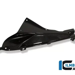 Ilmberger Carbon Plakettenträger links passend für BMW S1000RR, HP4 Top-Seller