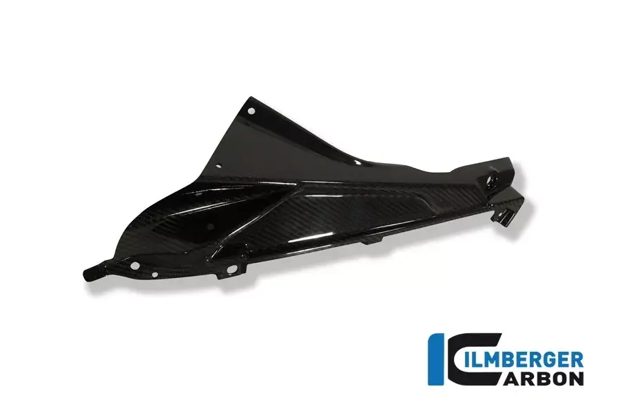 Ilmberger Carbon Plakettenträger links passend für BMW S1000RR, HP4 Top-Seller