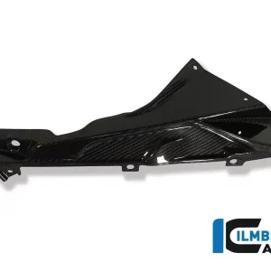 Ilmberger Carbon Plakettenträger rechts passend für BMW S1000RR / HP4 Neu