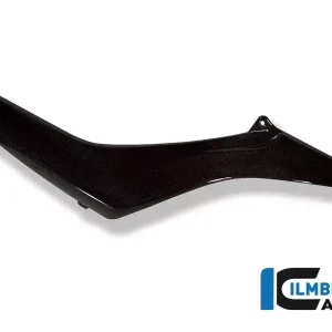 Ilmberger Carbon Seitendeckel Paar passend für BMW R1200R Kostenfreie Lieferung