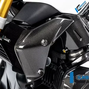 Wasserkühlerabdeckung links Carbon passend für BMW R 1250 R (LC) Heißes Angebot