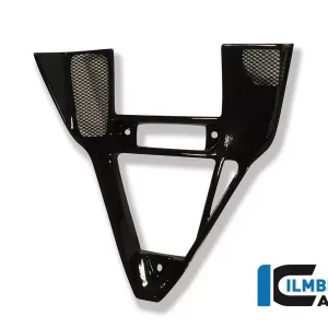 Ilmberger Carbon Verkleidungseinsatz passend für Ducati 749 und 999 Preiswert