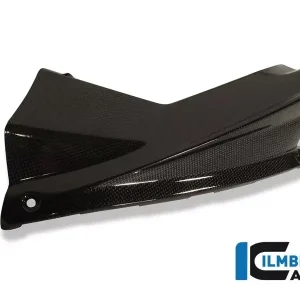 Echt Ilmberger Carbon Windkanalabdeckungen passend für Aprilia RSV 4 (2009-2012)