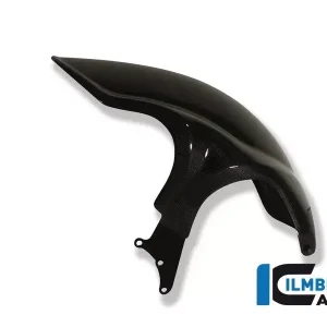 Ilmberger Carbon Kotflügel hinten mit ESA passend für BMW R1200R & R nineT Sale