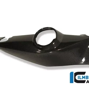 Ilmberger Carbon Seitendeckel unterm Sitz rechts passend für BMW F800R, F800S, F800ST, F800GT Top-Seller