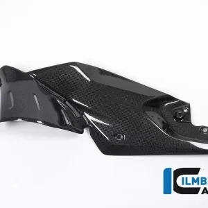Ilmberger Carbon Seitendeckel unterm Tank links passend für BMW R1200R Letzte Chance