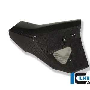 Ausverkauf Ilmberger Carbon Wasserkühlerverkleidung rechts passend für BMW F800R