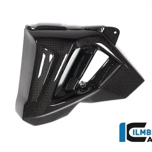 Ilmberger Carbon Wasserkühlerverkleidung links passend für BMW F800R Expressversand