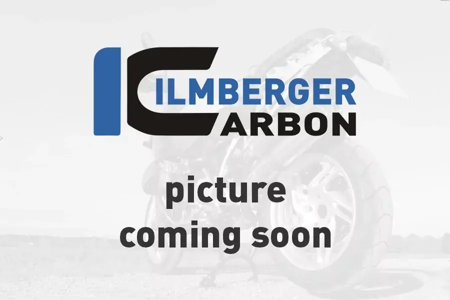 Ilmberger Carbon Front Verkleidung Race passend für BMW R nineT Racer Zertifiziert