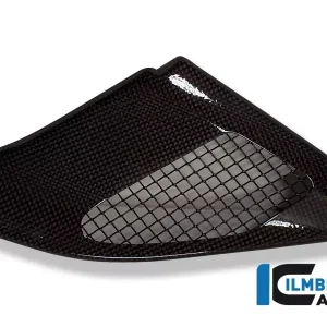 Ilmberger Carbon Ansaugrohrabdeckung passend für BMW R1200GS Preisknaller