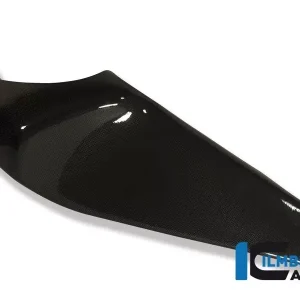 Ilmberger Carbon Rahmenabdeckung links passend für Buell 1125R/1125CR Letzte Chance