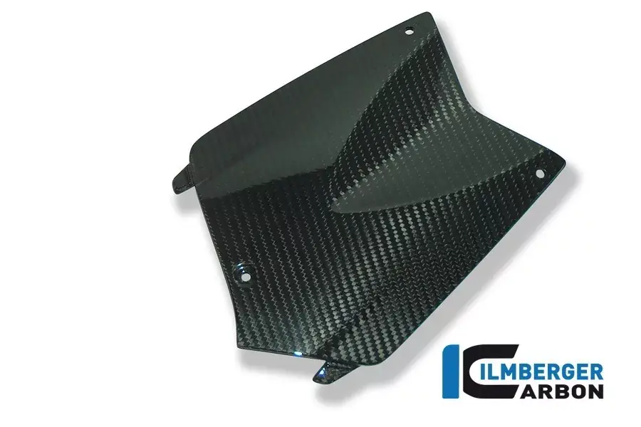Ilmberger Carbon Batteriefachabdeckung passend für BMW K1200R / K1300R Neu