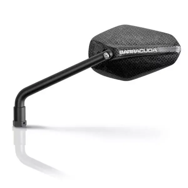 Barracuda Universalspiegel EGO Carbon passend für Naked Bikes Expressversand