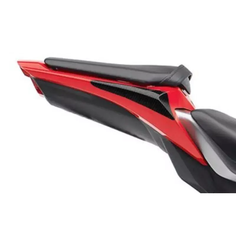 Garantierte Lieferung R&G Racing Carbon Heck Protektor passend für Honda CBR 1000 RR 2008-2011
